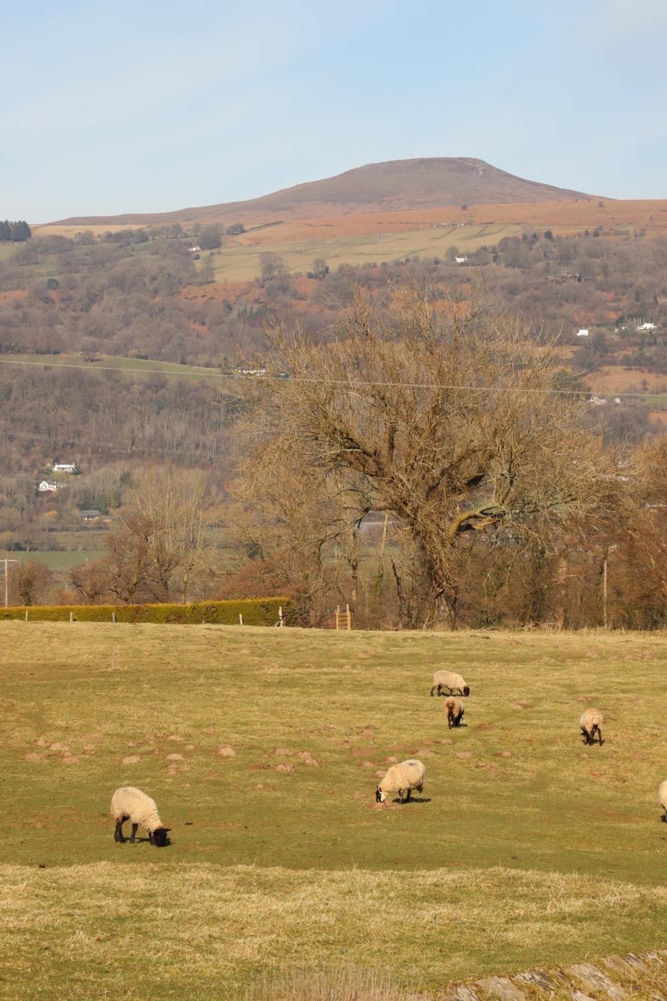 Cowshed In The Black Mountains Abergavenny Εξωτερικό φωτογραφία